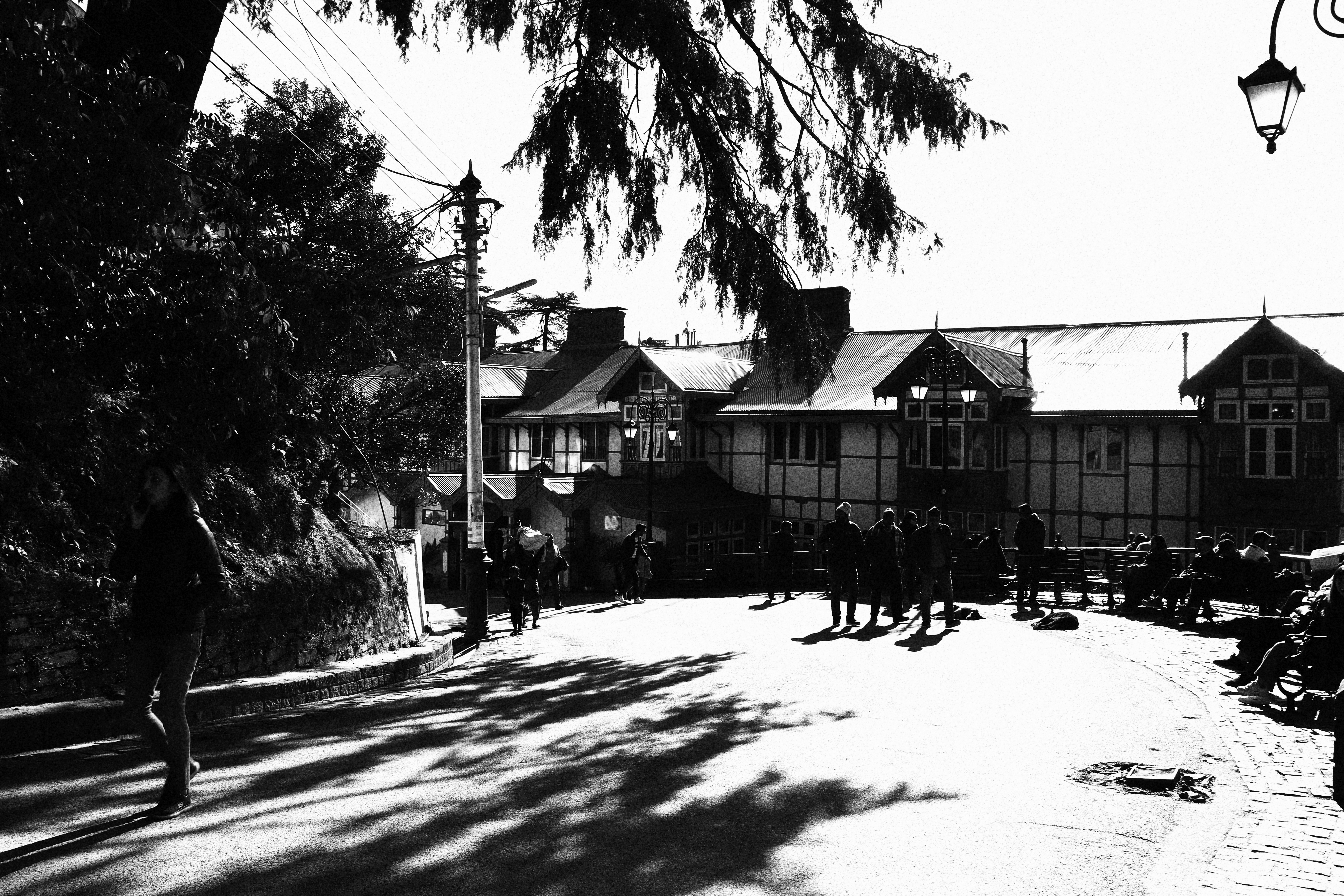 Shimla 3